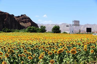 B社或在开发《星空》前传MMORPG 单机网游全都有了