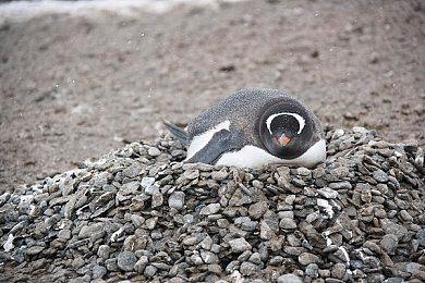 弹幕射击《疯狂枪支》新作公开 5月25日登陆全平台